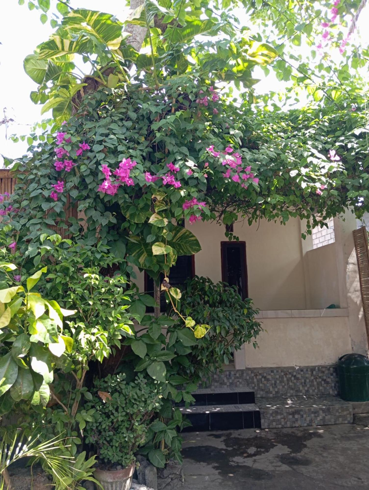 Pedek Homestay برايا المظهر الخارجي الصورة